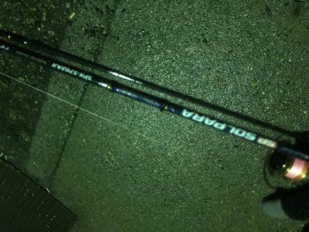 小雨の中でアジング